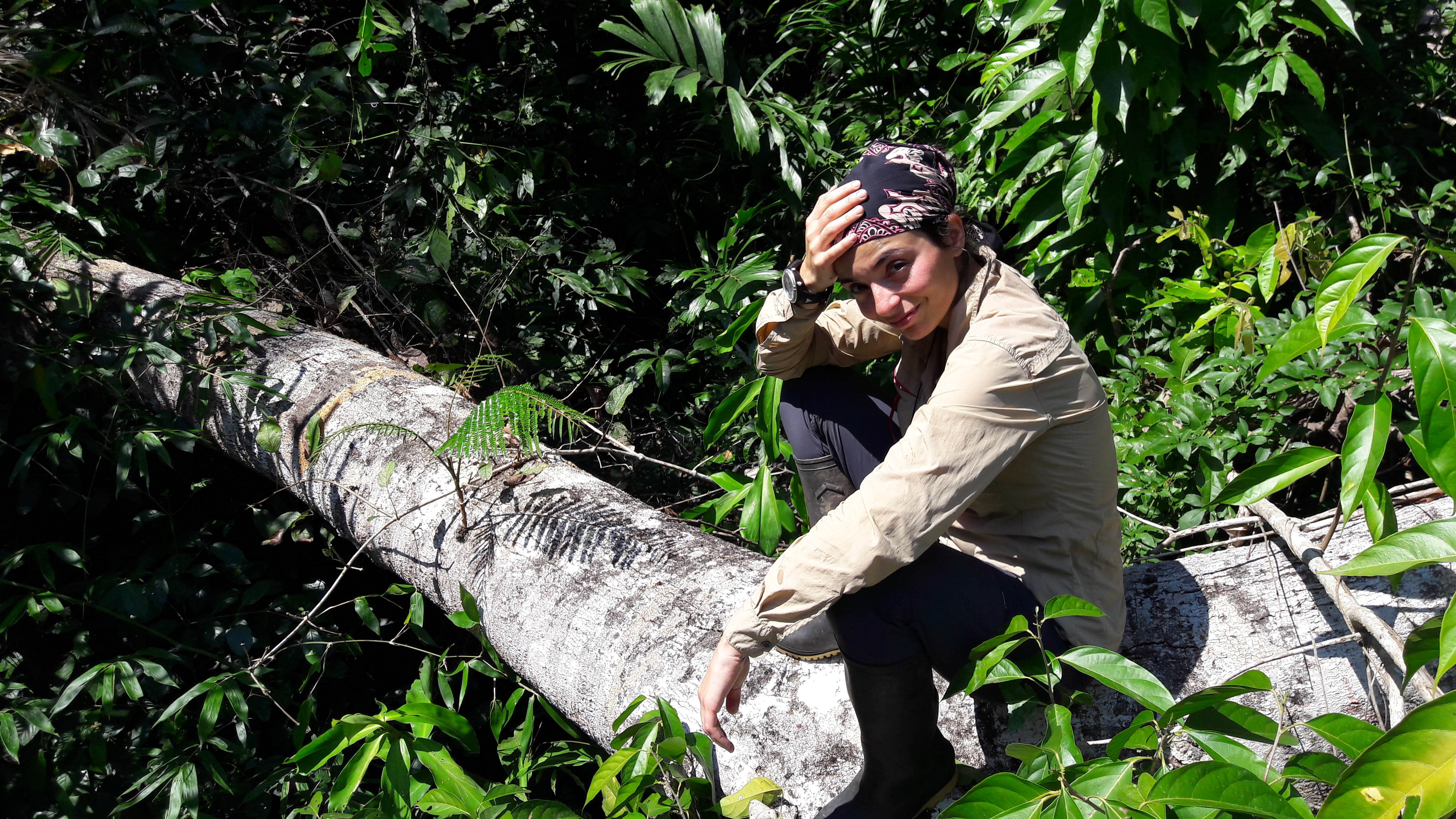 Graduate student, Belen Fadrique (Feeley Lab), explores forest dynamics in the Andes-Amazon region