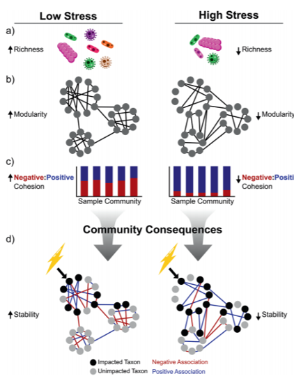 microbial community structure across 40 replicate stress gradients